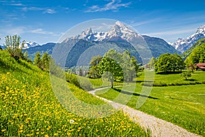 Idyllic spring landscape in the Alps with meadows and flowers