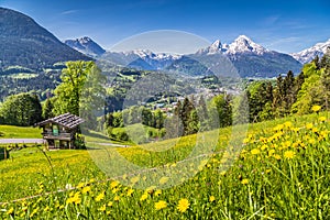 Idyllic spring landscape in the Alps with traditional mountain chalet