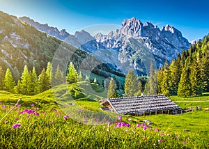 Idyllic spring landscape in the Alps with traditional mountain chalet