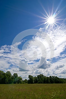 Idyllic summer landscape