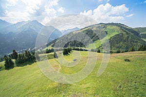 Idyllic summer landscape in the Alps