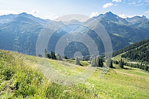 Idyllic summer landscape in the Alps