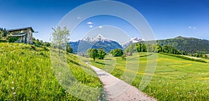 Idyllic summer landscape in the Alps