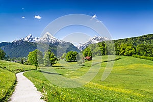 Idyllic summer landscape in the Alps