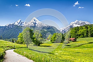 Idyllic summer landscape in the Alps