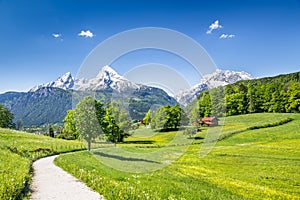 Idyllic summer landscape in the Alps, Bavaria, Germany