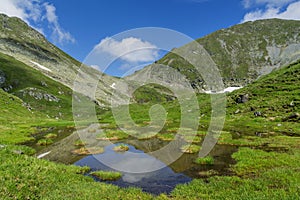 Idyllic summer landscape with mountain lake with floating green