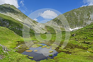 Idyllic summer landscape with mountain lake with floating green grass islands.