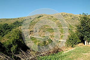 An idyllic summer landscape on a mountain