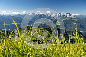 Idyllic summer landscape in Salzburger Land, Pinzgau, Salzburger Land, Austria, Europe