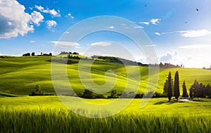 Idyllic summer rural landscape, Tuscany, Italy