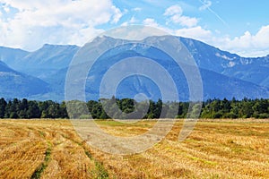 Idyllic summer scene in rural tatra landscape, slovakia