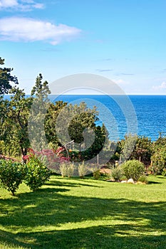 Idyllic summer view from a garden overlooking the Baltic Sea. In Lohme on the island of RÃ¼gen