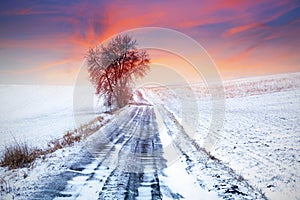 Idyllic sunset over winter meadow