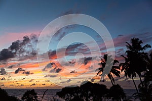 Sri Lanka paradise beach with white sand, Palm trees and a scenic sunset