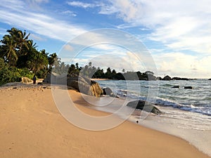 Sri Lanka paradise beach with white sand, Palm trees and a scenic sunset