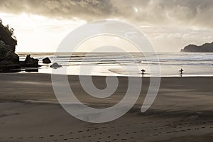 Idyllic Surfing At Piha, NZ