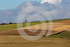 A Sussex Patchwork Landscape