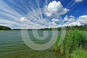 Idyllic Swedish landscape in the summer