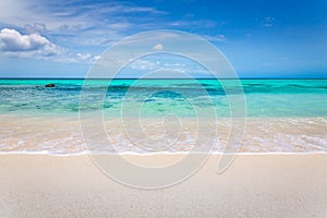 Idyllic and translucent caribbean beach at sunny day in Aruba