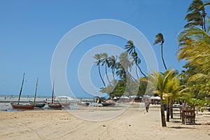 Idyllic tropical beach