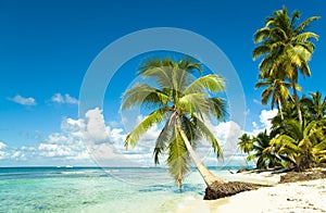 Idilliaco tropicale Spiaggia 