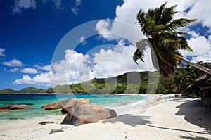 Idyllic tropical beach