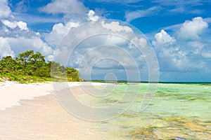 Idyllic tropical beach on Cayo Coco, Cuba