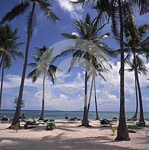 Idyllic tropical beach panorama with palm trees, white sand and turquoise blue water