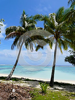 Idyllic tropical beach in Rarotonga