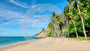 An idyllic tropical beach scene on Mindoro Island in the Philippines.