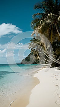 Idyllic tropical beach with white sand and calm sea