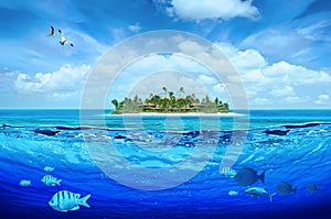 Idyllic tropical island photo