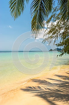 Idyllic tropical sandy beach in sunny day. Palm leaves shadow, calm ocean wave on shore, clear turquoise sea water