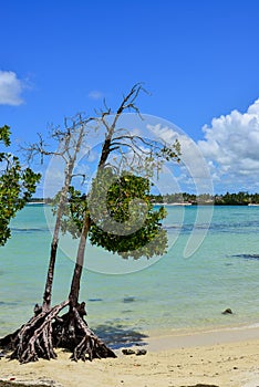 Idyllic tropical sea in sunny day