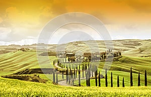 IDYLLIC TUSCANY LANDSCAPE WITH CYPRESS TREES. TOP ATTRACTION IN ITALY. FAMOUS TRIP DESTINATION