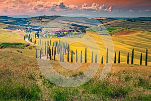 Idyllic Tuscany landscape at sunset with curved rural road, Italy