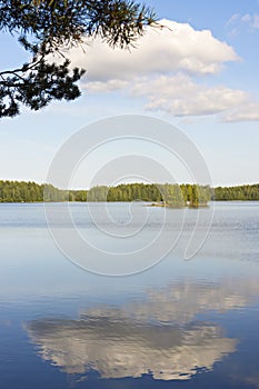Idyllic vertical lakescape