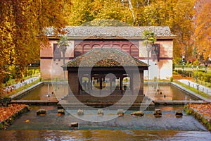 Idyllic view of Achabal Mughal Garden, with lush greenery