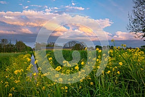 Idyllic view of evening clouds over the Dutch countryside