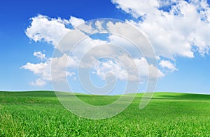 Idyllic view, green field and the blue sky with white clouds