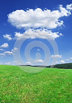 Idyllic view, green field and blue sky with white clouds