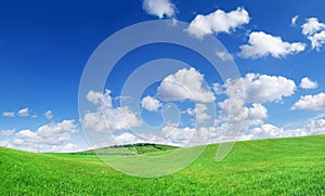 Idyllic view, green field and the blue sky with white clouds