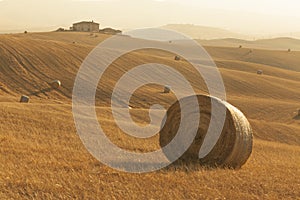 Idyllic view of hilly farmland in Tuscany