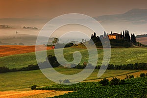 Idyllic view of hilly farmland in Tuscany in beautiful morning light, Italy. Foggy landscape in Tuscany. Belvedere in the