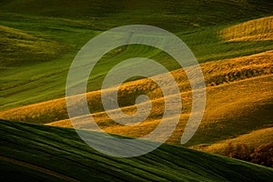 Idyllic view of hilly farmland in Tuscany in beautiful morning light, Italy. Landscape in the Italy. Morning light in the field.