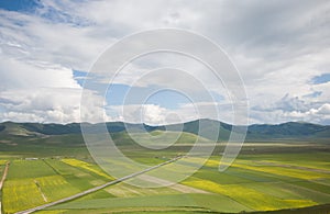 Idyllic view of lentils flowering in the Pian Grande during spring day of june, Umbria, Italy photo