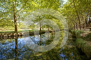 Idyllic view of the main stream of Fuentes del Marques in Caravaca de la Cruz