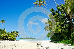 Idyllic view between palms and tropical vegetation to waters edge and off-shore island in heat shimmer