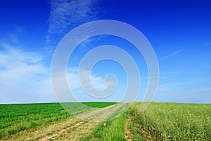 Idyllic view, rural path among green fields, blue sky in the bac